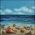 Muscheln und Meer